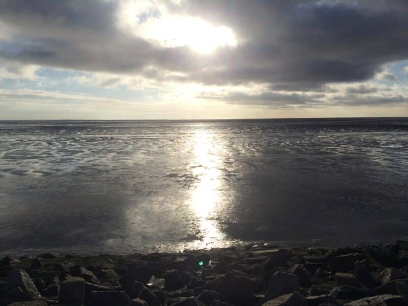 Meer
